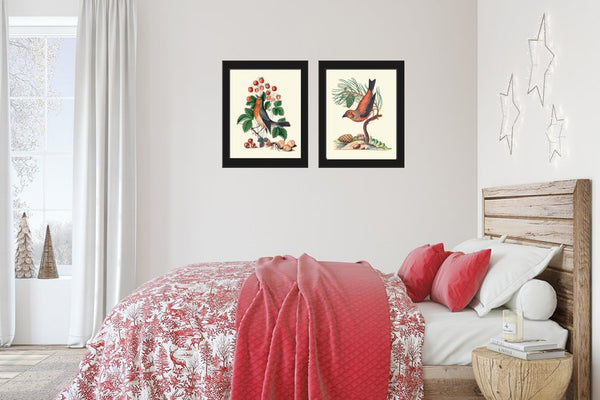 Bird Print Set Wall Art of 2 Prints Beautiful Antique Pretty Red Blue Berries Flowers Butterfly Picture Illustration Home Decor to Frame BJB