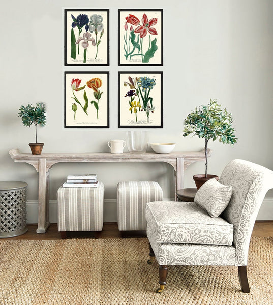 Iris and Tulip Botanical Print Set of 4 Prints Beautiful Antique Wall Art Blue Red Flowers Hanging Decoration Home Decor to Frame WEIN