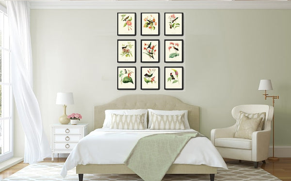 Hummingbird Wall Decor Art Print Set of 9 Beautiful Antique Birds Pink Green Tropical Exotic Flowers Decoration Illustration to Frame HUMM