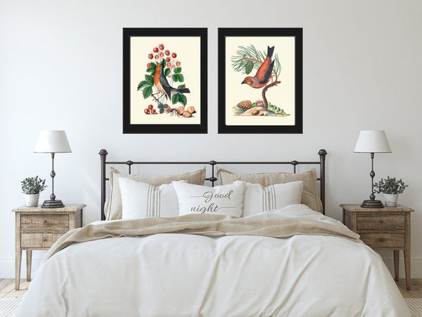 Bird Print Set Wall Art of 2 Prints Beautiful Antique Pretty Red Blue Berries Flowers Butterfly Picture Illustration Home Decor to Frame BJB