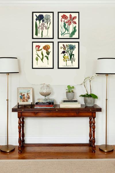 Iris and Tulip Botanical Print Set of 4 Prints Beautiful Antique Wall Art Blue Red Flowers Hanging Decoration Home Decor to Frame WEIN