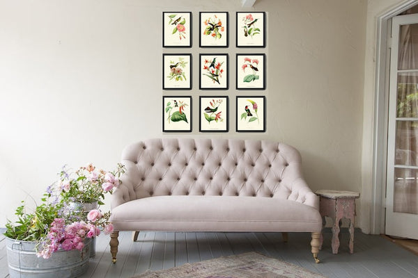 Hummingbird Wall Decor Art Print Set of 9 Beautiful Antique Birds Pink Green Tropical Exotic Flowers Decoration Illustration to Frame HUMM