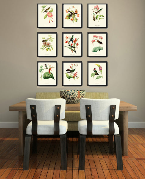 Hummingbird Wall Decor Art Print Set of 9 Beautiful Antique Birds Pink Green Tropical Exotic Flowers Decoration Illustration to Frame HUMM