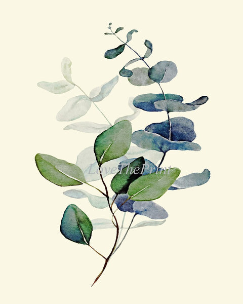 Eucalyptus Flower Botanical Wall Decor Art Set of 12 Prints Beautiful Blue Green Tropical Plant Relaxing Interior Home Decor to Frame CMEU