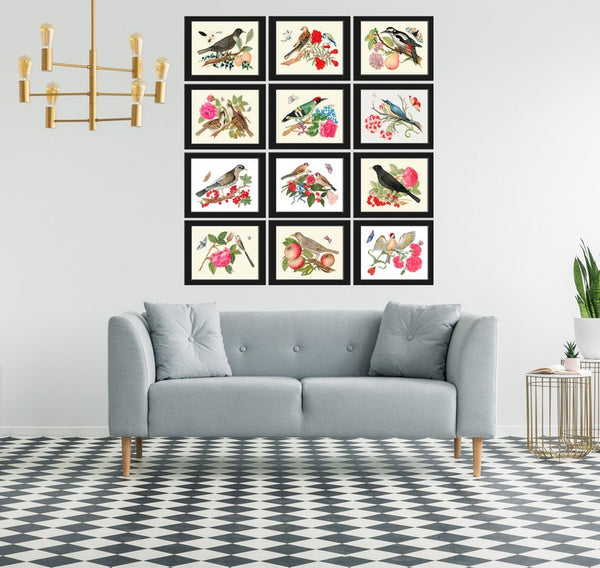 Beautiful Bird Wall Art Home Decor Set of 12 Prints Colorful Birds Flowers Interior Design Designer Large Gallery Watercolor to Frame BOT
