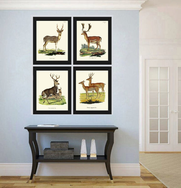 Vintage Deer Wall Art Set of 4 Prints Beautiful Antique Elk Moose Deer Rustic Cabin Decoration Forest Animals Home Room Decor to Frame DEER