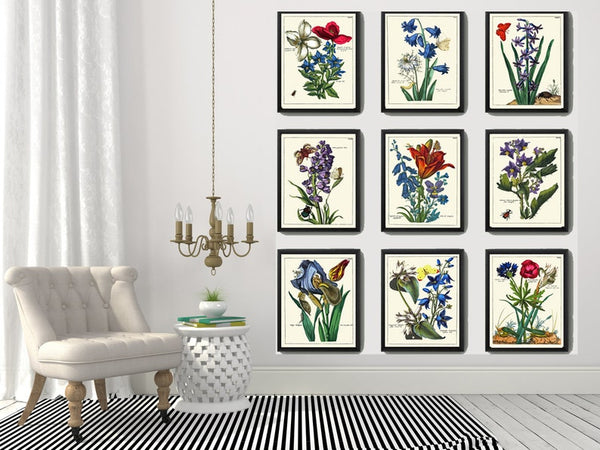 Antique Wildflowers Botanical Wall Art Set of 9 Prints Beautiful Vintage Antique Blue Pink Flowers Butterflies Home Room Decor to Frame NEDE