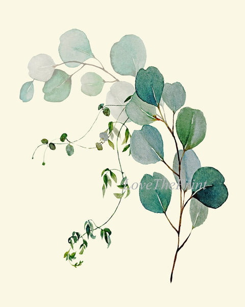 Eucalyptus Flower Botanical Wall Decor Art Set of 12 Prints Beautiful Blue Green Tropical Plant Relaxing Interior Home Decor to Frame CMEU