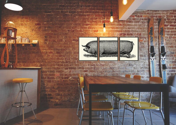Pig Wall Art Set of 3 Prints Beautiful Antique Vintage Farm Animal Illustration Drawing Dining Room Kitchen Farmhouse Home Decor to Frame TR