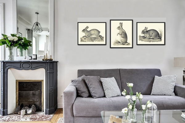 Rabbit Bunny Prints Wall Art Set of 3 Antique Vintage Black and White Forest Nature Animal Farmhouse Home Room Decor Decoration to Frame BSF