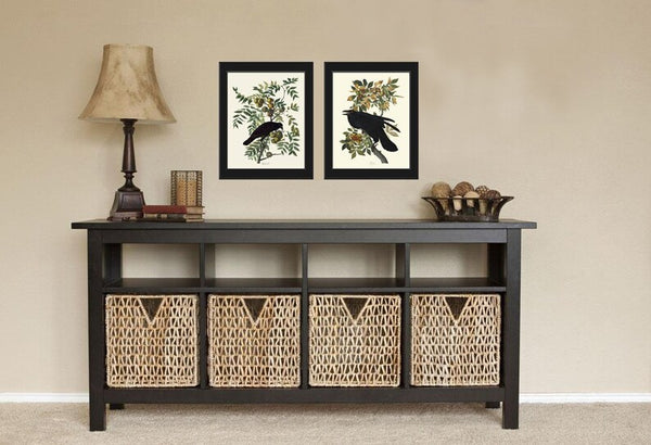 Crow and Raven John James Audubon Bird Wall Art Print Set of 2 Tree Branch Botanical Illustration Living Room Office Hallway Home Decor JJA