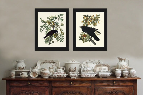 Crow and Raven John James Audubon Bird Wall Art Print Set of 2 Tree Branch Botanical Illustration Living Room Office Hallway Home Decor JJA