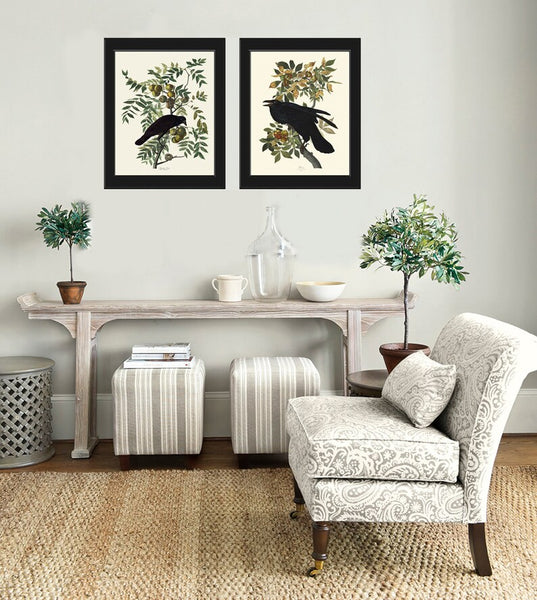 Crow and Raven John James Audubon Bird Wall Art Print Set of 2 Tree Branch Botanical Illustration Living Room Office Hallway Home Decor JJA