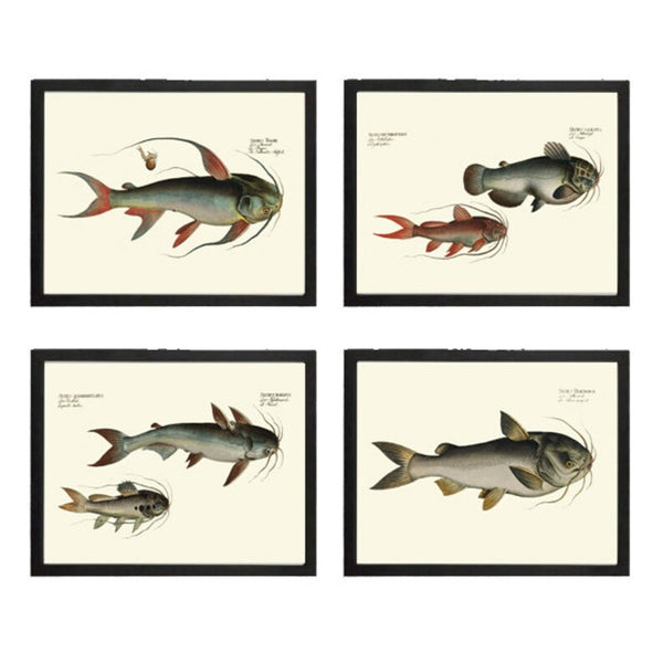Vintage Catfish Wall Art Set of 4 Prints Beautiful Antique Vintage Lake Fishing Fisherman Cabin Lakehouse Mancave Home Decor to Frame BL