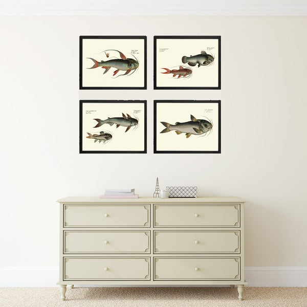 Vintage Catfish Wall Art Set of 4 Prints Beautiful Antique Vintage Lake Fishing Fisherman Cabin Lakehouse Mancave Home Decor to Frame BL