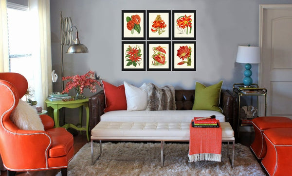 Red Flowers Botanical Pint Set of 6 Wall Art Amaryllis Passion Flower Cactus Green Plants Bedroom Dining Room Kitchen Home Decor to Frame IH