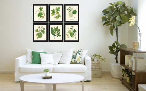 Tree Leaf Branch Home Decor Prints Wall Art Set of 6 Beautiful Green Forest Nature Cabin Farmhouse Illustration Interior Design to Frame HT