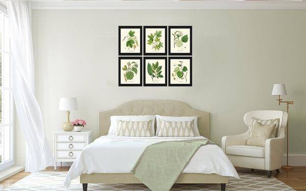 Tree Leaf Branch Home Decor Prints Wall Art Set of 6 Beautiful Green Forest Nature Cabin Farmhouse Illustration Interior Design to Frame HT