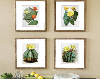 BOTANICAL PRINT  Art Print 20 Beautiful Cactus Plant White Large Flower Tropical Illustration Tropical Nature Home Wall Decor to Frame