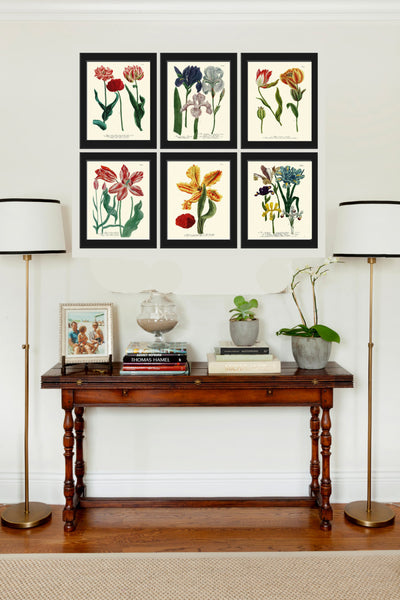BOTANICAL PRINT  Art Print W29 Beautiful AntiqueTulips Red Flower Spring Summer Garden Plant Chart Nature to Frame Living Dining Room