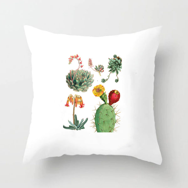 Soft Cactus Succulent Print Throw Pillow Cushion Cover