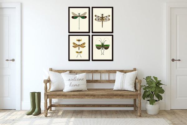 Vintage Dragonfly Wall Art Set of 4 Prints Beautiful Antique Locust Outdoor Nature Cute Bugs Insects Home Room Decor Decoration to Frame GSZ