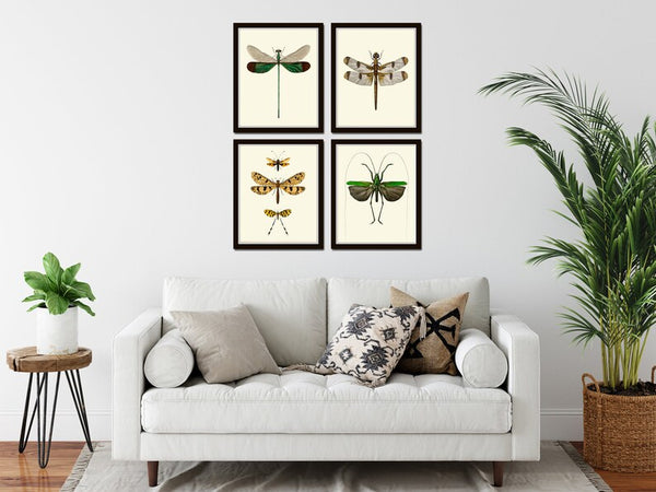 Vintage Dragonfly Wall Art Set of 4 Prints Beautiful Antique Locust Outdoor Nature Cute Bugs Insects Home Room Decor Decoration to Frame GSZ