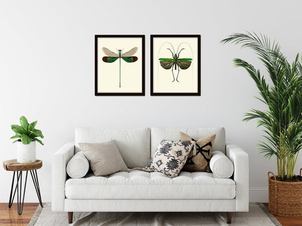 Vintage Dragonfly Wall Art Set of 2 Prints Beautiful Antique Locust Outdoor Nature Cute Bugs Insects Home Room Decor Decoration to Frame GSZ