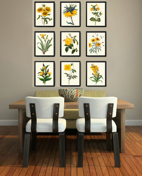 Vintage Botanical Wall Art Set of 9 Prints Beautiful Antique Yellow Rose Daisy Iris Dining Living Room Kitchen Office Home Decor to Frame RE