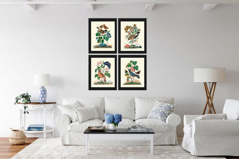 Vintage Bird Wall Art Set of 4 Prints Beautiful Antique Pretty Red Blue Berries Flowers Folk Art Birds Illustration Home Decor to Frame BJB