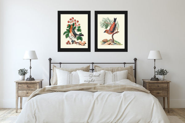Bird Print Set Wall Art of 2 Prints Beautiful Antique Pretty Red Blue Berries Flowers Butterfly Picture Illustration Home Decor to Frame BJB