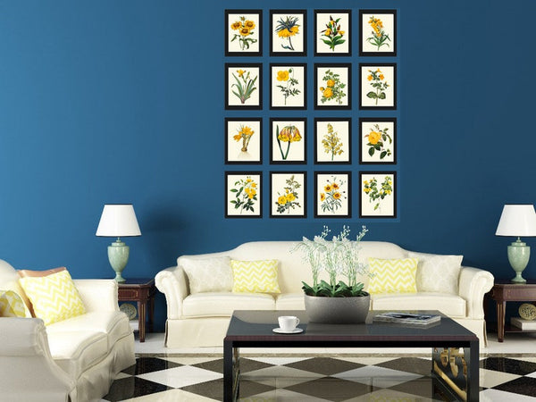 Botanical Wall Art Large Gallery Set of 16 Prints Yellow Beautiful Antique Flowers Floral Interior Design Designer Home Decor to Frame RE