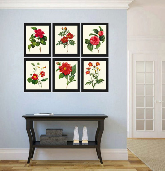 Red Flowers Botanical Wall Art Set of 6 Prints Beautiful Antique Vintage Peony Roses Camellia Nasturtium Dining Room Home Decor to Frame RE