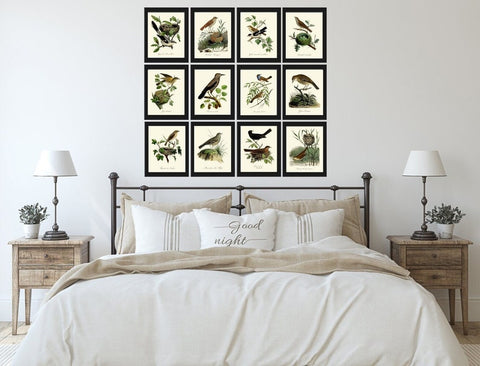 Vintage Bird Wall Art Gallery Set of 12 Prints Beautiful Antique Nest Trees Forest Outdoor Nature Farmhouse Cottage Home Decor to Frame DCF