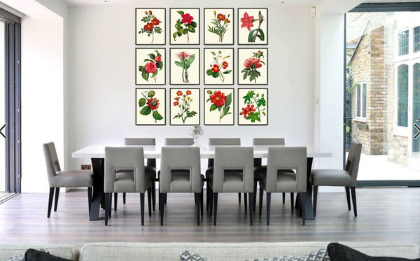 Red Flowers Botanical Wall Art Set of 12 Prints Beautiful Antique Vintage Peony Roses Camellia Nasturtium Dining Room Home Decor to Frame RE