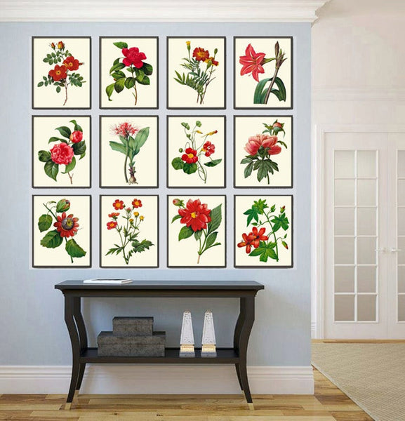 Red Flowers Botanical Wall Art Set of 12 Prints Beautiful Antique Vintage Peony Roses Camellia Nasturtium Dining Room Home Decor to Frame RE