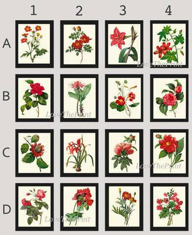 Red Flowers Botanical Wall Art Set of 16 Prints Beautiful Antique Vintage Dining Room Bedroom Floral Interior Design Home Decor to Frame RE