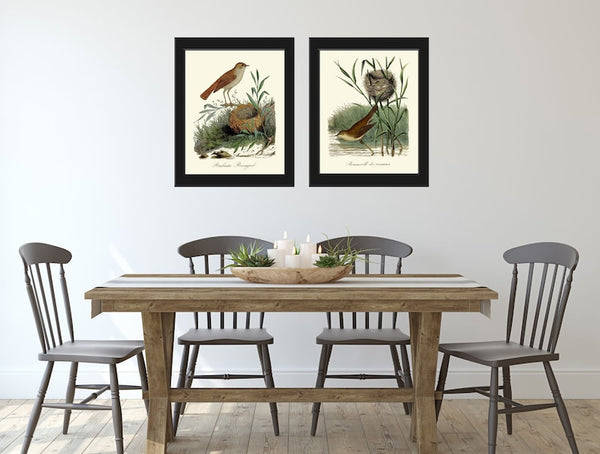 Vintage Bird Nest Wall Art Prints Set of 2 Beautiful Antique Farmhouse Cabin Cottage Farm Rustic Country Pretty Home Decor to Frame DCF