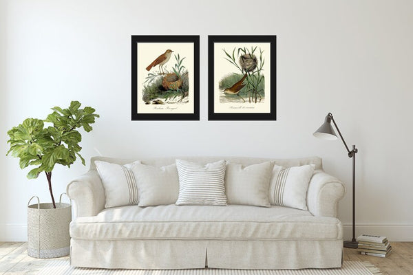 Vintage Bird Nest Wall Art Prints Set of 2 Beautiful Antique Farmhouse Cabin Cottage Farm Rustic Country Pretty Home Decor to Frame DCF