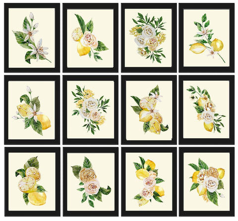 Lemons and Roses Botanical Wall Art Set of 12 Prints Beautiful Blooming Citrus Fruit Flowers Watercolor Illustration Home Decor to Frame LMC