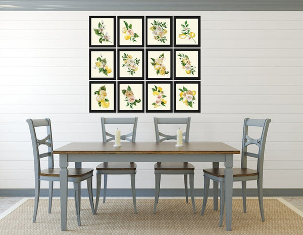 Lemons and Roses Botanical Wall Art Set of 12 Prints Beautiful Blooming Citrus Fruit Flowers Watercolor Illustration Home Decor to Frame LMC
