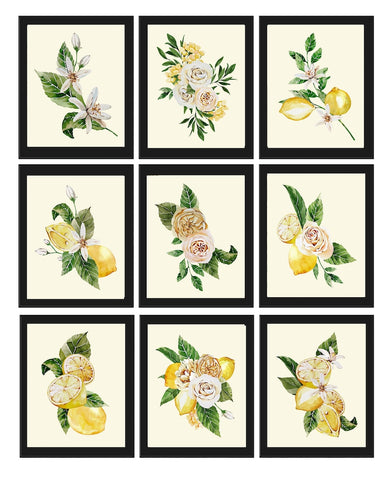 Lemons and Roses Botanical Wall Art Set of 9 Prints Beautiful Blooming Citrus Fruit Flowers Tropical Interior Design Home Decor to Frame LMC