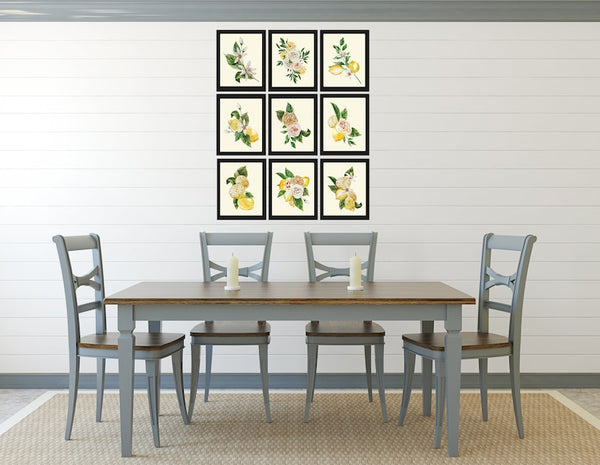 Lemons and Roses Botanical Wall Art Set of 9 Prints Beautiful Blooming Citrus Fruit Flowers Tropical Interior Design Home Decor to Frame LMC