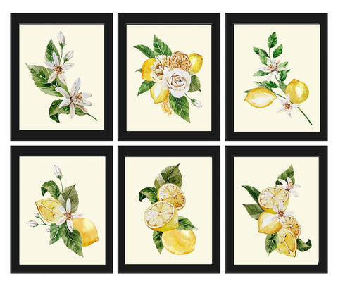 Lemons and Roses Botanical Wall Art Set of 6 Prints Beautiful Blooming Citrus Fruit Flowers Tropical Interior Design Home Decor to Frame LMC