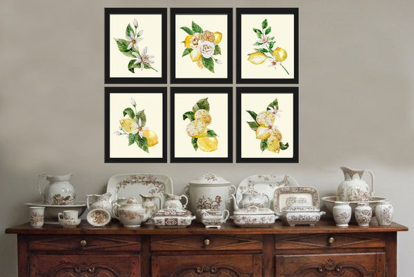 Lemons and Roses Botanical Wall Art Set of 6 Prints Beautiful Blooming Citrus Fruit Flowers Tropical Interior Design Home Decor to Frame LMC
