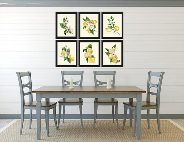 Lemons and Roses Botanical Wall Art Set of 6 Prints Beautiful Blooming Citrus Fruit Flowers Tropical Interior Design Home Decor to Frame LMC