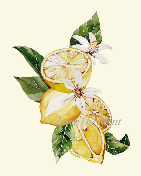 Lemons and Roses Botanical Wall Art Set of 4 Prints Beautiful Blooming Citrus Fruit Flowers Tropical Interior Design Home Decor to Frame LMC