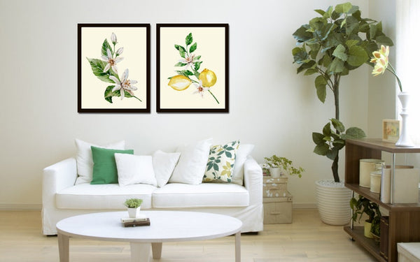 Lemon Print Set Fruit Botanical Wall Art 2 Prints Beautiful Blooming Citrus Tree Flowers Tropical Interior Design Home Decor to Frame LMC