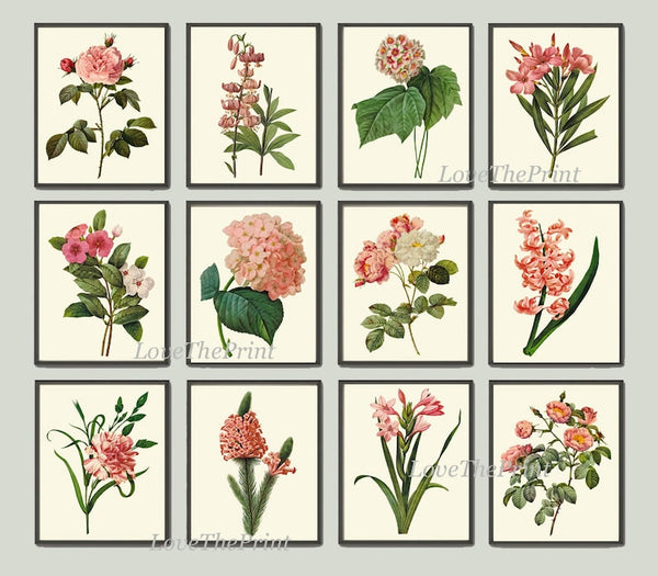 Pink Flowers Botanical Wall Art Set of 12 Prints Beautiful Antique Vintage Roses Hydrangea Home Room Decor to Frame RE
