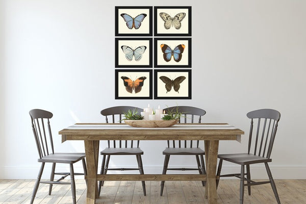 Butterfly Wall Art Set of 6 Prints Beautiful Antique Vintage Blue Green Butterfly Chart Interior Design Decoration Home Decor to Frame LPH